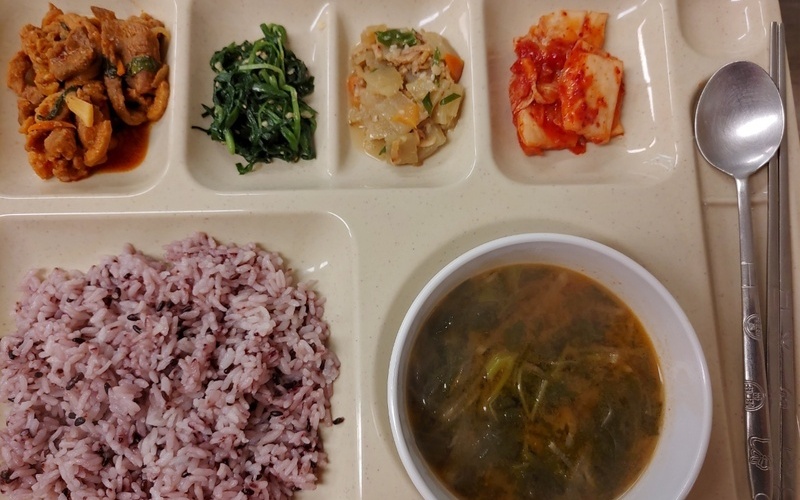 건강식단