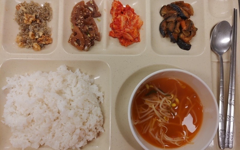 건강식단