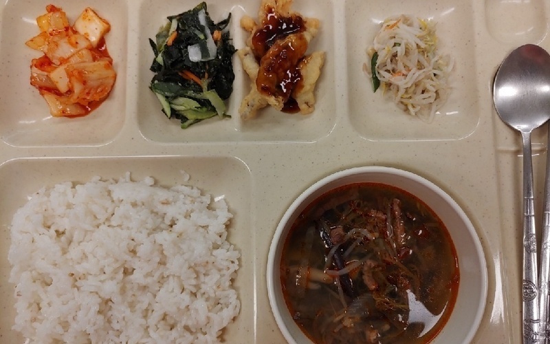 건강식단