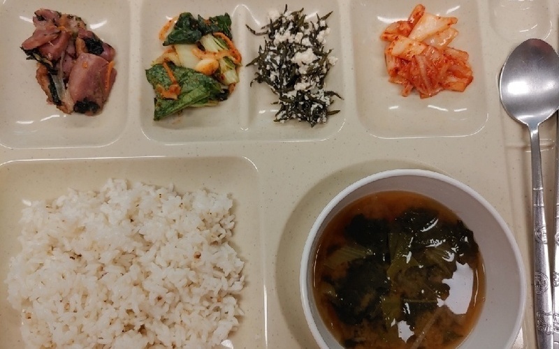 건강식단